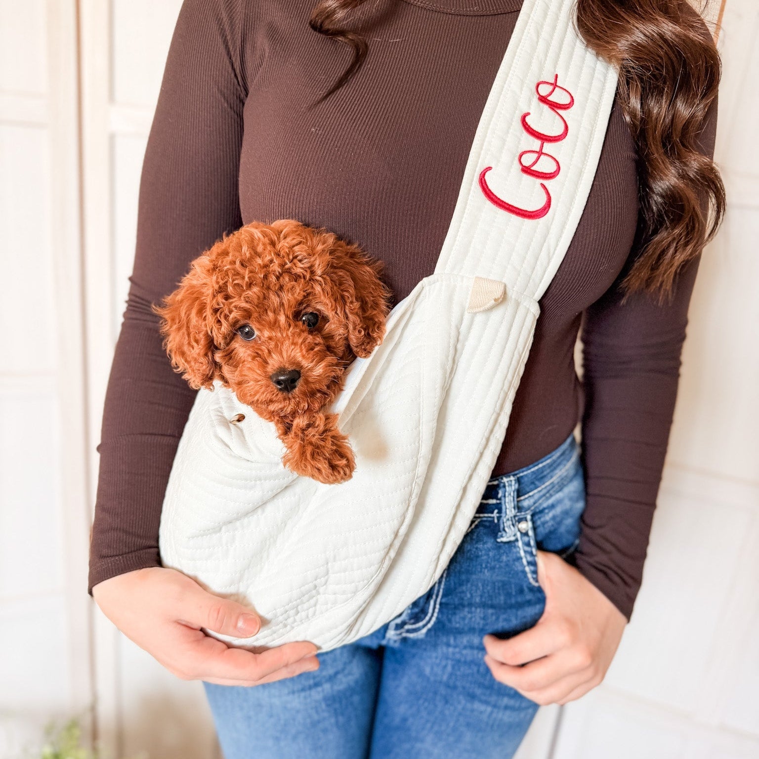 pet carrier sling