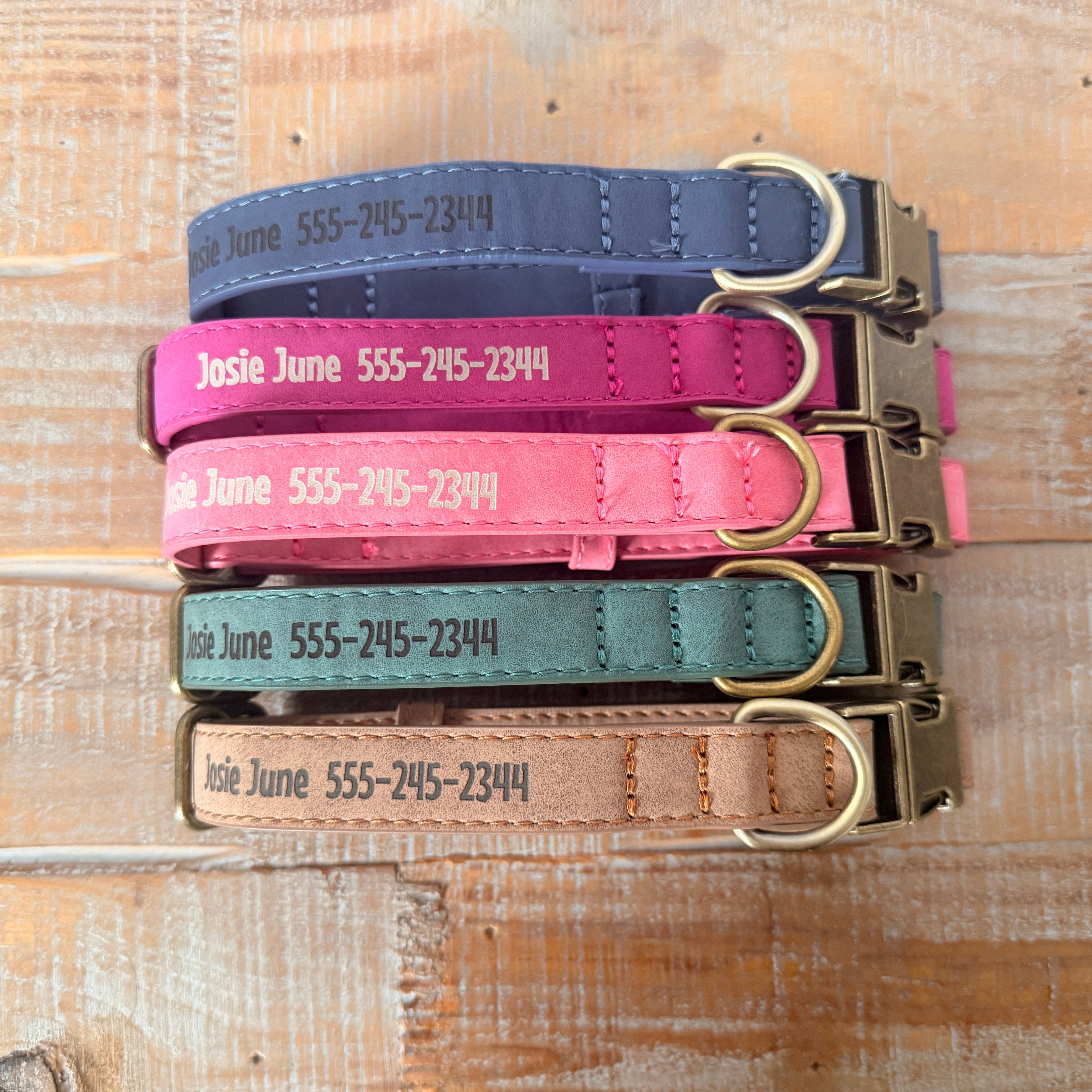 Collar and Leash
