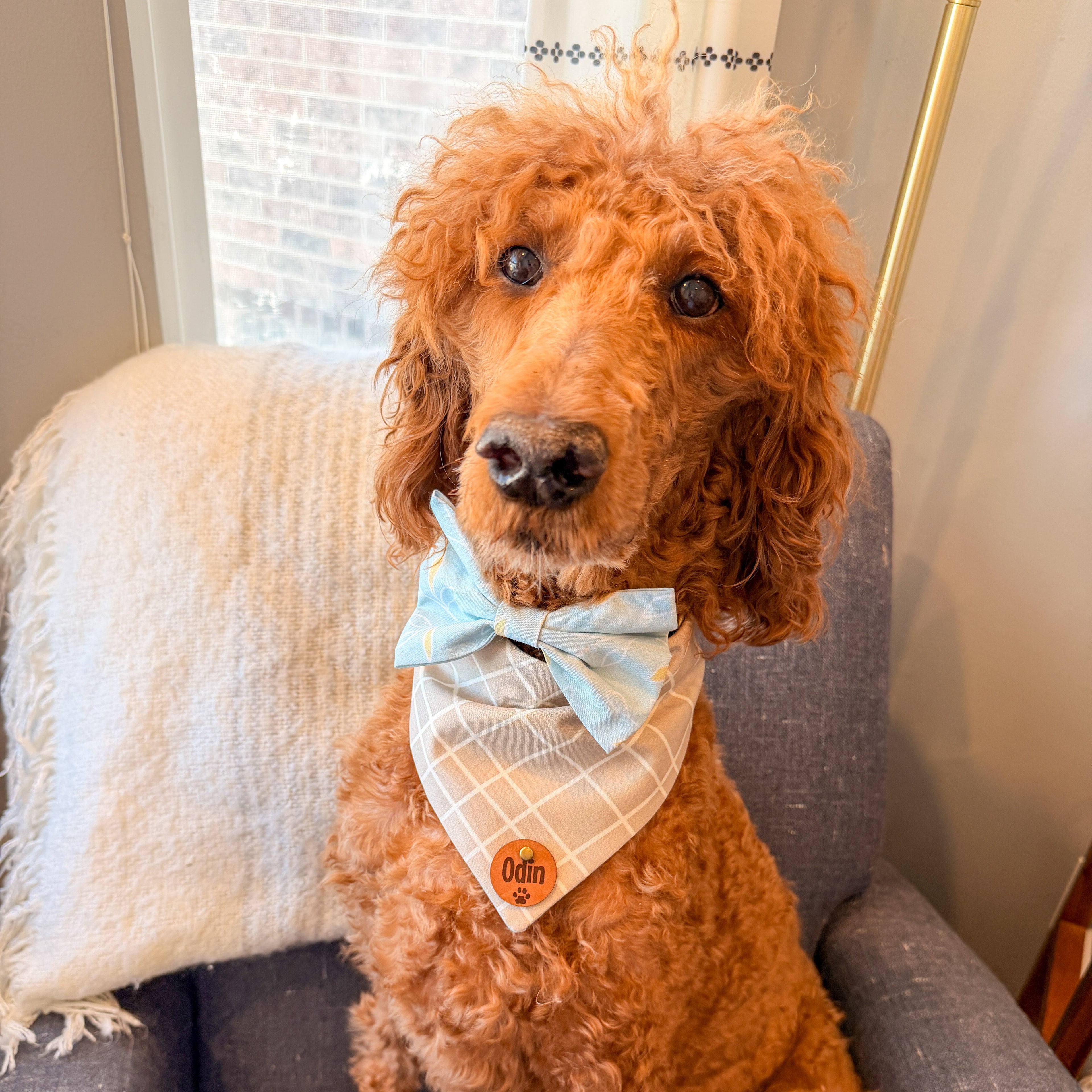 Navy Plaid Dog Bow tie, Collar Slide