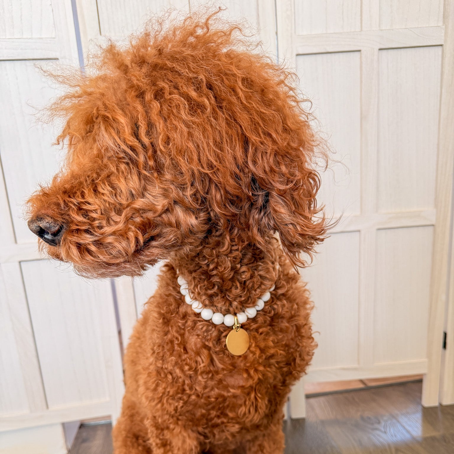 Paw Print Bead Necklace with ID Tag