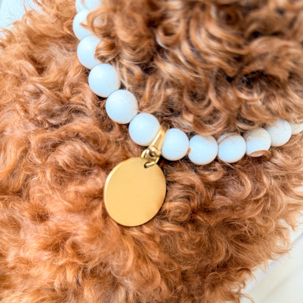 Brass Pet ID Tag with screw-on brass clasp