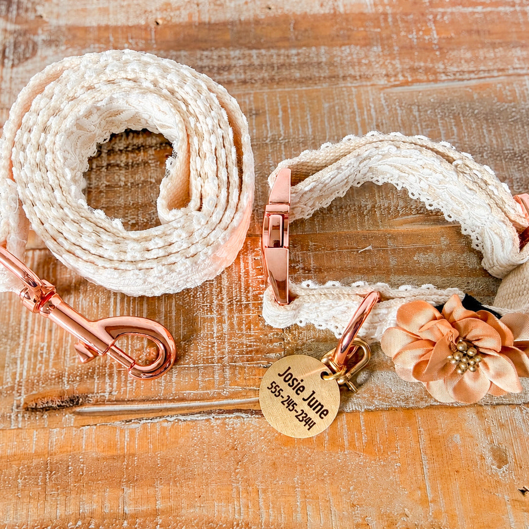 Lace Collar and Leash