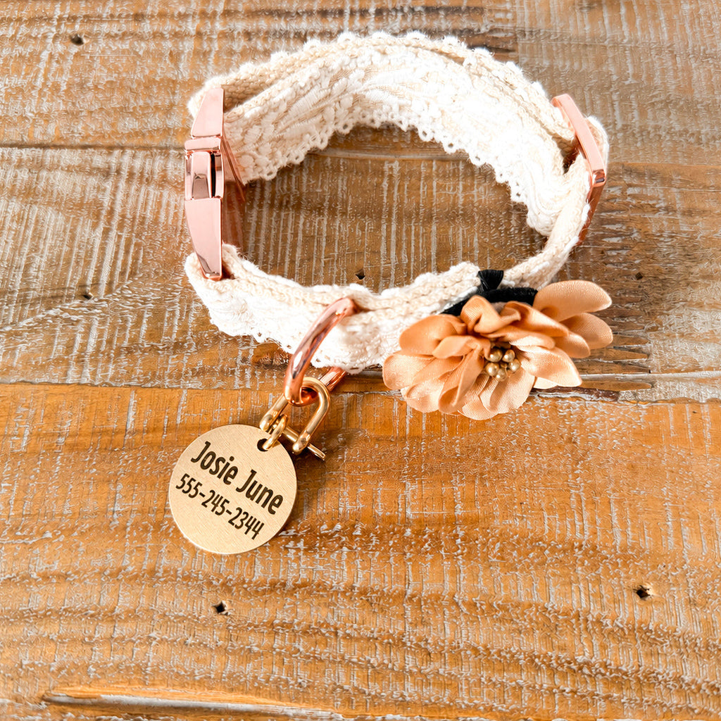 Lace Collar and Leash