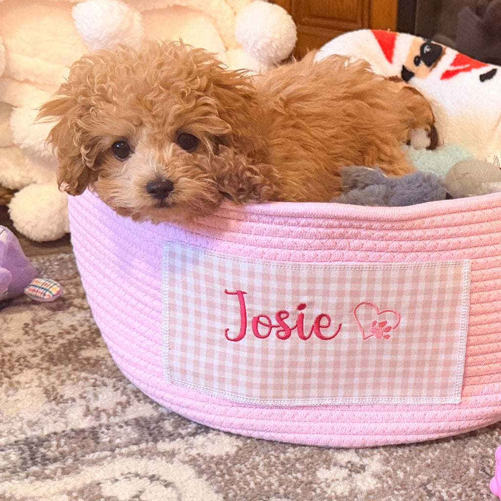Personalized Cotton Rope Pet Toy Basket – Embroidered Name Storage Container