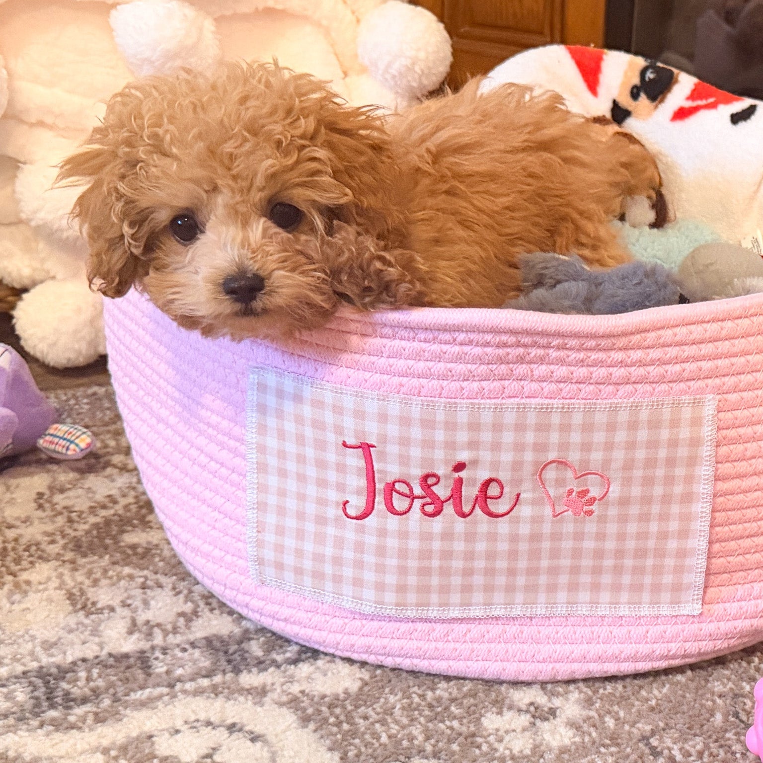 Personalized Cotton Rope Pet Toy Basket – Embroidered Name Storage Container