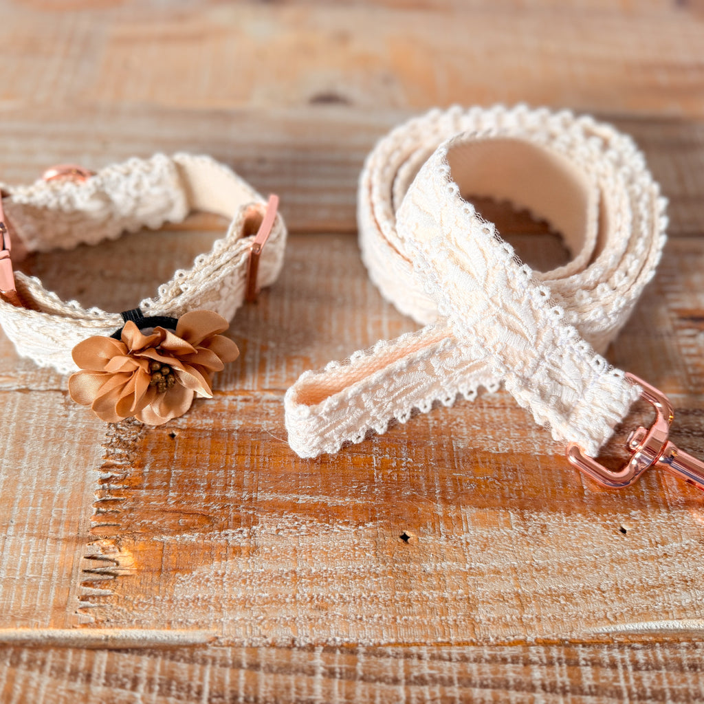 Lace Collar and Leash