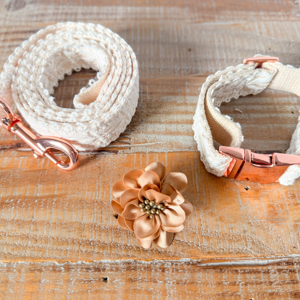 Lace Collar and Leash