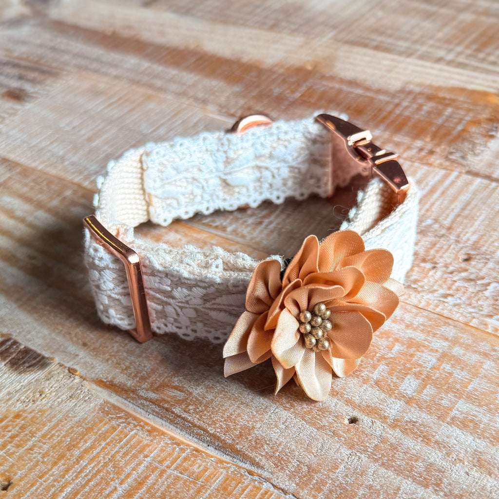 Lace Collar and Leash