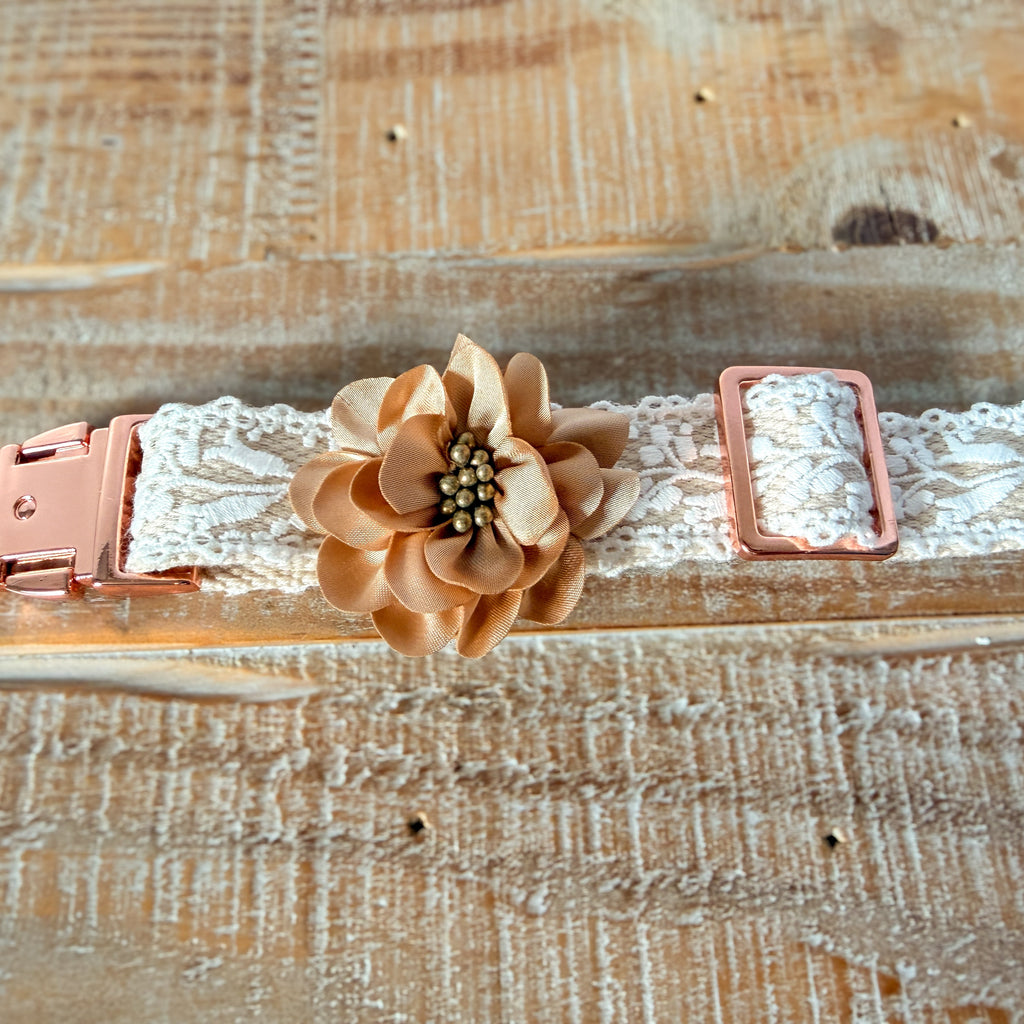 Lace Collar and Leash