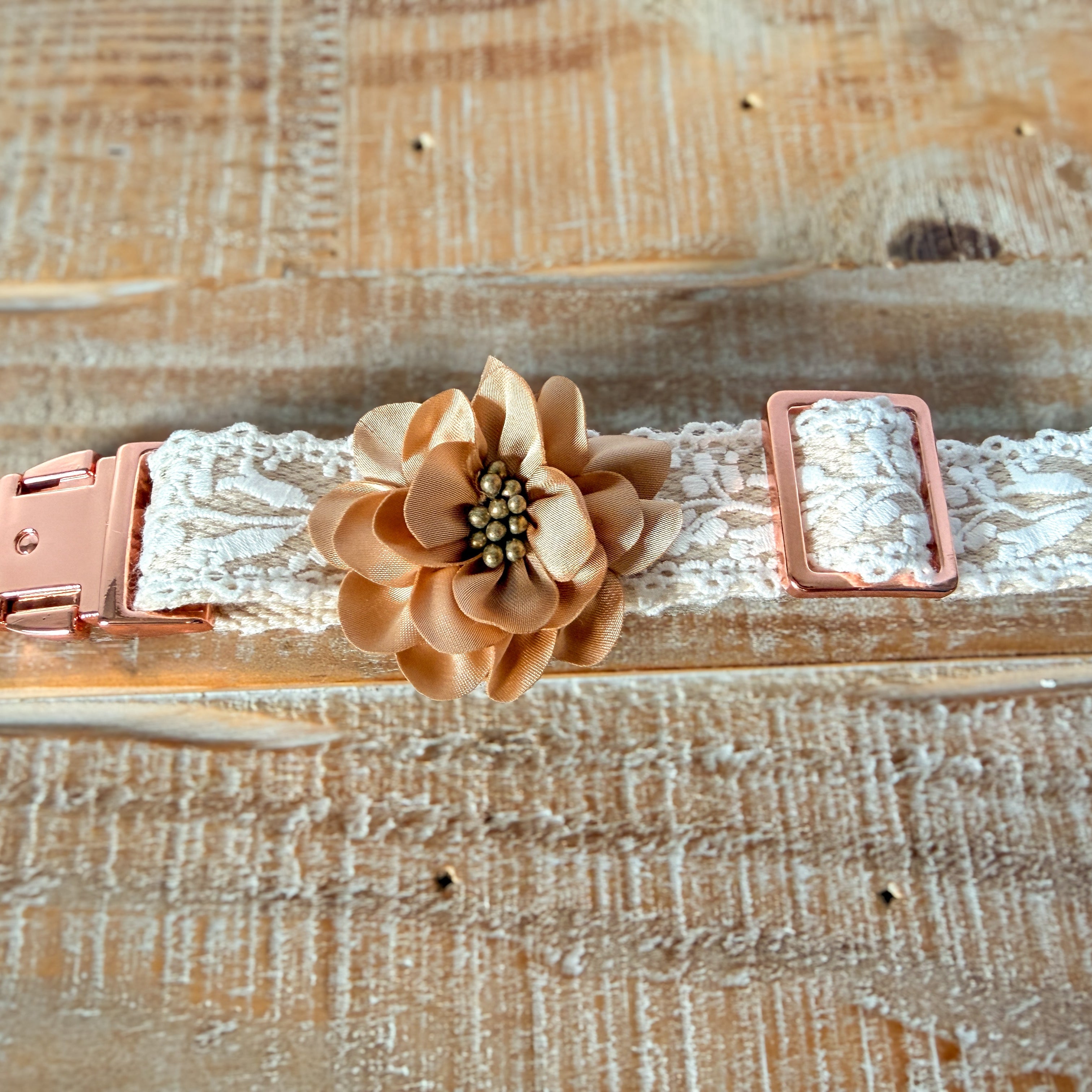 Lace Collar and Leash