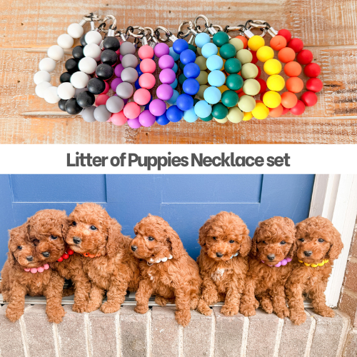 Litter of Puppies Necklace set- Photo Prop