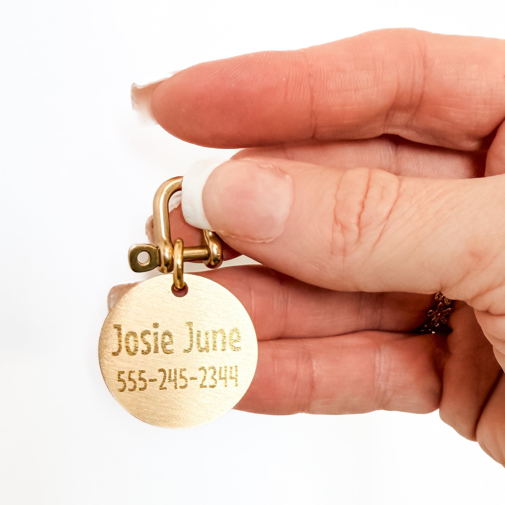 Brass Pet ID Tag with screw-on brass clasp