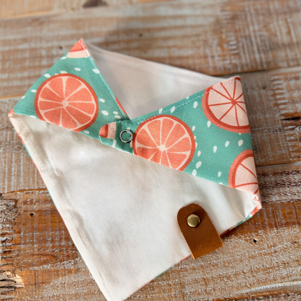 Tangerine Seed Personalized Pet Bandana