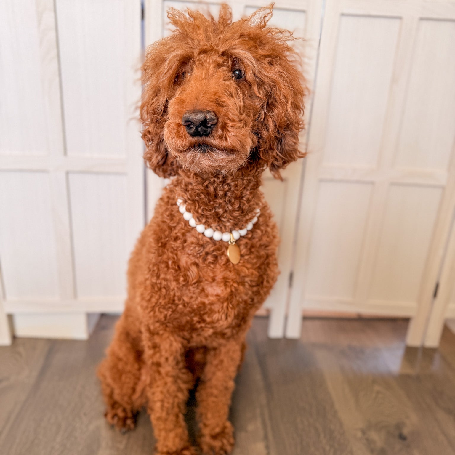 Blue Dog Bead Necklace- Personalized ID Tag