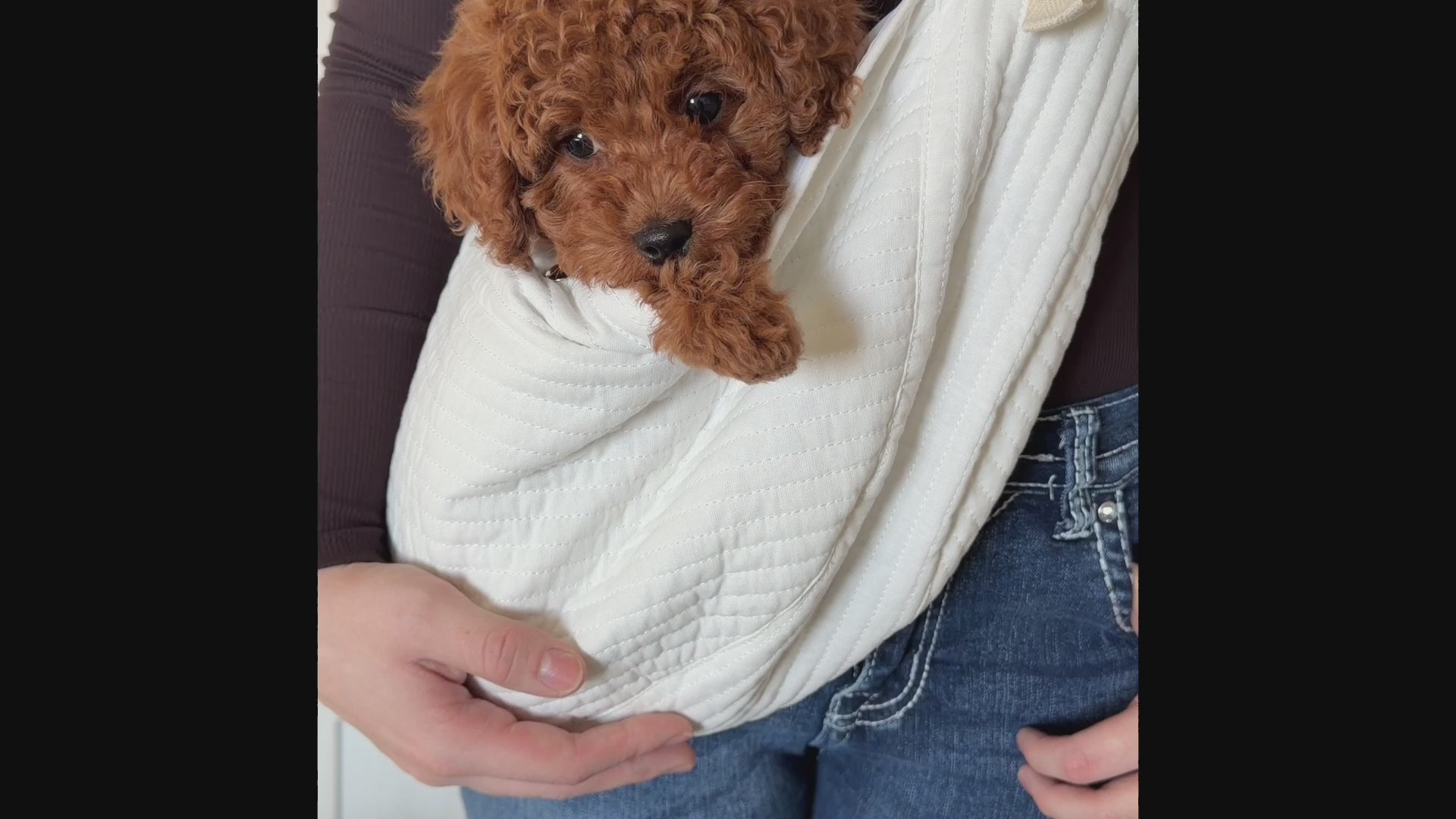 Personalized Pet Sling